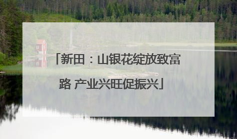 新田：山银花绽放致富路 产业兴旺促振兴