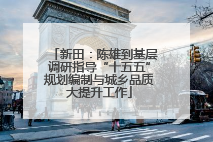 新田：陈雄到基层调研指导“十五五”规划编制与城乡品质大提升工作