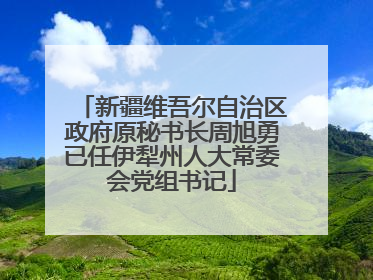 新疆维吾尔自治区政府原秘书长周旭勇已任伊犁州人大常委会党组书记