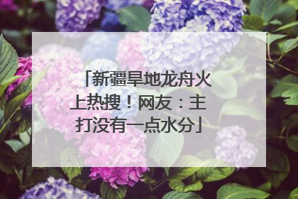 新疆旱地龙舟火上热搜！网友：主打没有一点水分