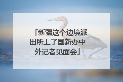新疆这个边境派出所上了国新办中外记者见面会