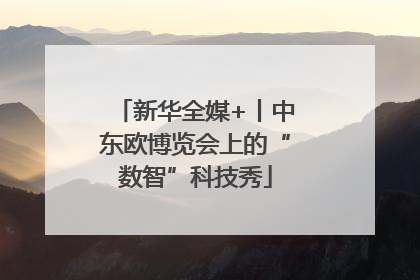 新华全媒+丨中东欧博览会上的“数智”科技秀