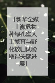 新华全媒+丨濒危物种绿孔雀人工繁育与野化放归试验取得关键进展