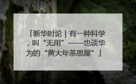 新华时论｜有一种科学，叫“无用”——也谈华为的“黄大年茶思屋”