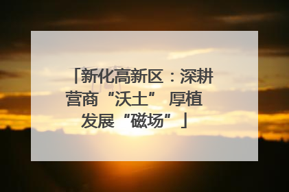 新化高新区：深耕营商“沃土” 厚植发展“磁场”