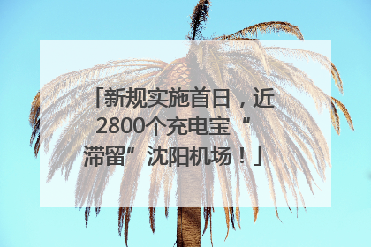 新规实施首日，近2800个充电宝“滞留”沈阳机场！