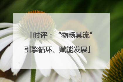 时评：“物畅其流”引擎循环、赋能发展