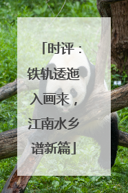 时评：铁轨逶迤入画来，江南水乡谱新篇