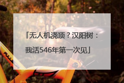 无人机浇顶？汉阳树：我活546年第一次见