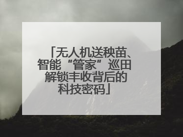 无人机送秧苗、智能“管家”巡田 解锁丰收背后的科技密码