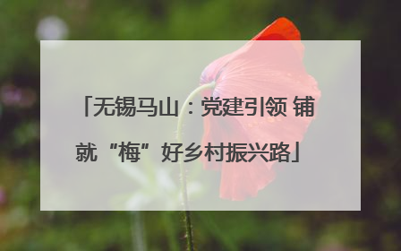 无锡马山：党建引领 铺就“梅”好乡村振兴路