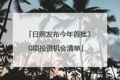 日照发布今年首批30项投资机会清单