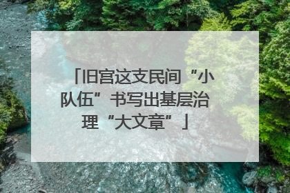 旧宫这支民间“小队伍”书写出基层治理“大文章”