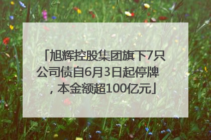 旭辉控股集团旗下7只公司债自6月3日起停牌，本金额超100亿元