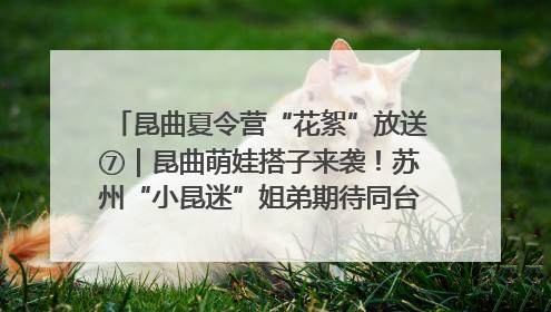 昆曲夏令营“花絮”放送⑦｜昆曲萌娃搭子来袭！苏州“小昆迷”姐弟期待同台演绎“姑苏水磨调”