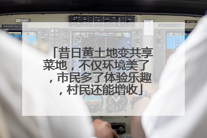 昔日黄土地变共享菜地，不仅环境美了，市民多了体验乐趣，村民还能增收