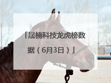 晟楠科技龙虎榜数据（6月3日）