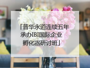 普华永道连续五年承办IBI国际企业孵化器研讨班