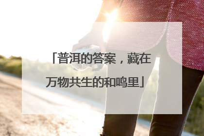 普洱的答案，藏在万物共生的和鸣里