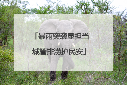 暴雨突袭显担当 城管排涝护民安