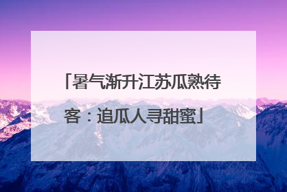 暑气渐升江苏瓜熟待客：追瓜人寻甜蜜