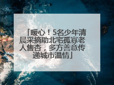 暖心！5名少年清晨采摘助北宅孤寡老人售杏，多方善意传递城市温情