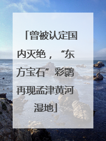 曾被认定国内灭绝，“东方宝石”彩鹮再现孟津黄河湿地