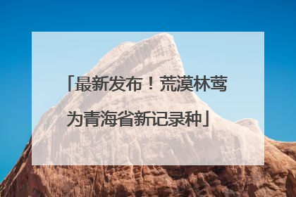 最新发布！荒漠林莺为青海省新记录种
