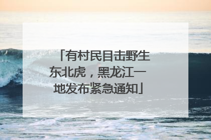 有村民目击野生东北虎，黑龙江一地发布紧急通知