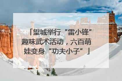 望城举行“雷小锋”趣味武术活动，六百萌娃变身“功夫小子”