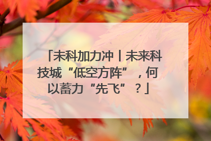 未科加力冲丨未来科技城“低空方阵”，何以蓄力“先飞”？