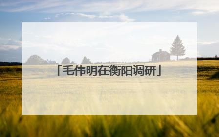 毛伟明在衡阳调研