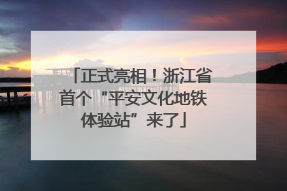 正式亮相！浙江省首个“平安文化地铁体验站”来了