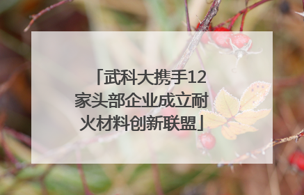 武科大携手12家头部企业成立耐火材料创新联盟
