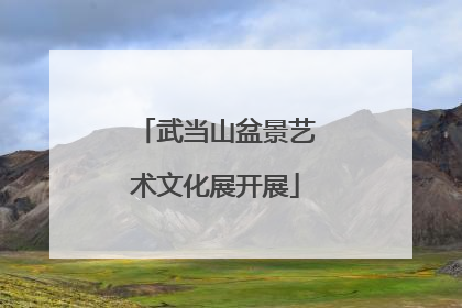 武当山盆景艺术文化展开展