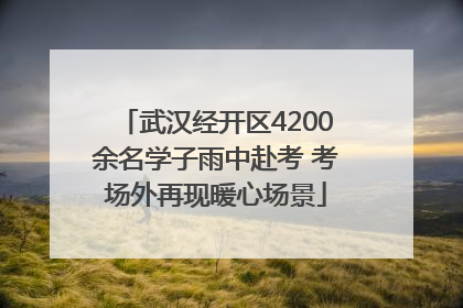武汉经开区4200余名学子雨中赴考 考场外再现暖心场景