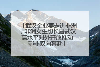 武汉企业要走进非洲，非洲女生想长居武汉 高水平对外开放推动鄂非双向奔赴