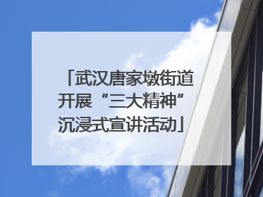 武汉唐家墩街道开展“三大精神”沉浸式宣讲活动