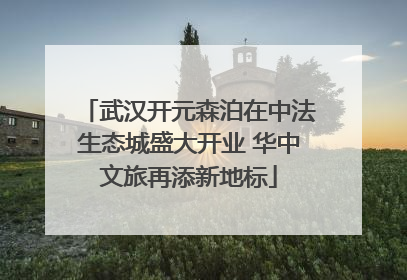 武汉开元森泊在中法生态城盛大开业 华中文旅再添新地标