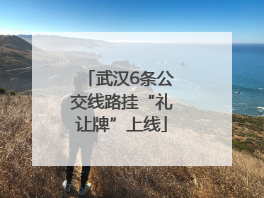 武汉6条公交线路挂“礼让牌”上线