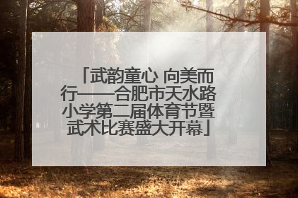 武韵童心 向美而行——合肥市天水路小学第二届体育节暨武术比赛盛大开幕