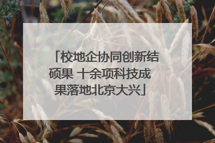 校地企协同创新结硕果 十余项科技成果落地北京大兴