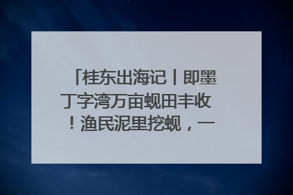 桂东出海记丨即墨丁字湾万亩蚬田丰收！渔民泥里挖蚬，一天上岸过千斤