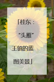 桂东：“头雁”王镇的蓝图美景