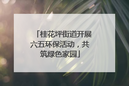 桂花坪街道开展六五环保活动，共筑绿色家园