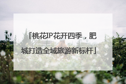 桃花IP花开四季，肥城打造全域旅游新标杆