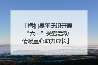 桐柏县平氏镇开展“六一”关爱活动 情暖童心助力成长