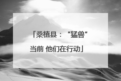 桑植县：“猛兽”当前 他们在行动