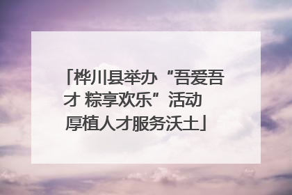桦川县举办“吾爱吾才 粽享欢乐”活动 厚植人才服务沃土