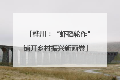 桦川：“虾稻轮作”铺开乡村振兴新画卷